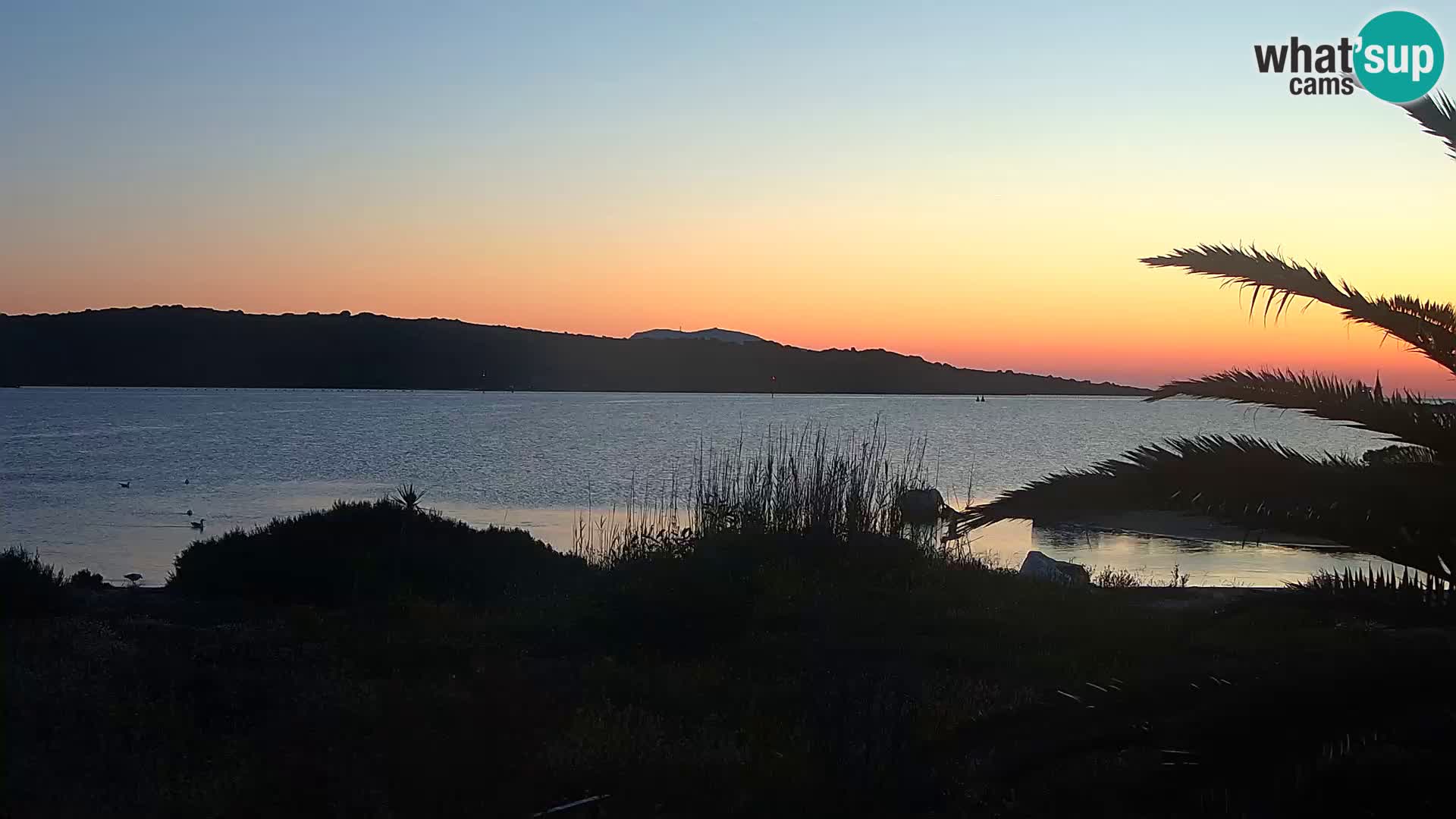 Spletna kamera pristanišče Olbia – vhod v pristanišče Olbia