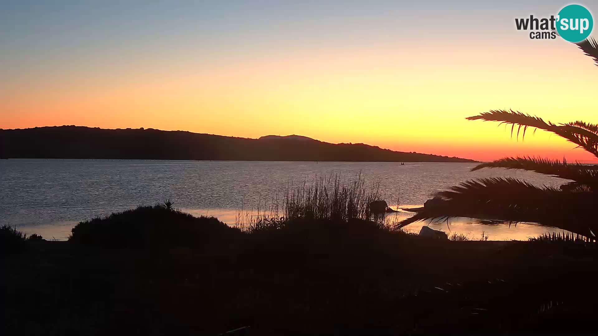 Webcam Hafen Olbia – Eingang zum Hafen von Olbia