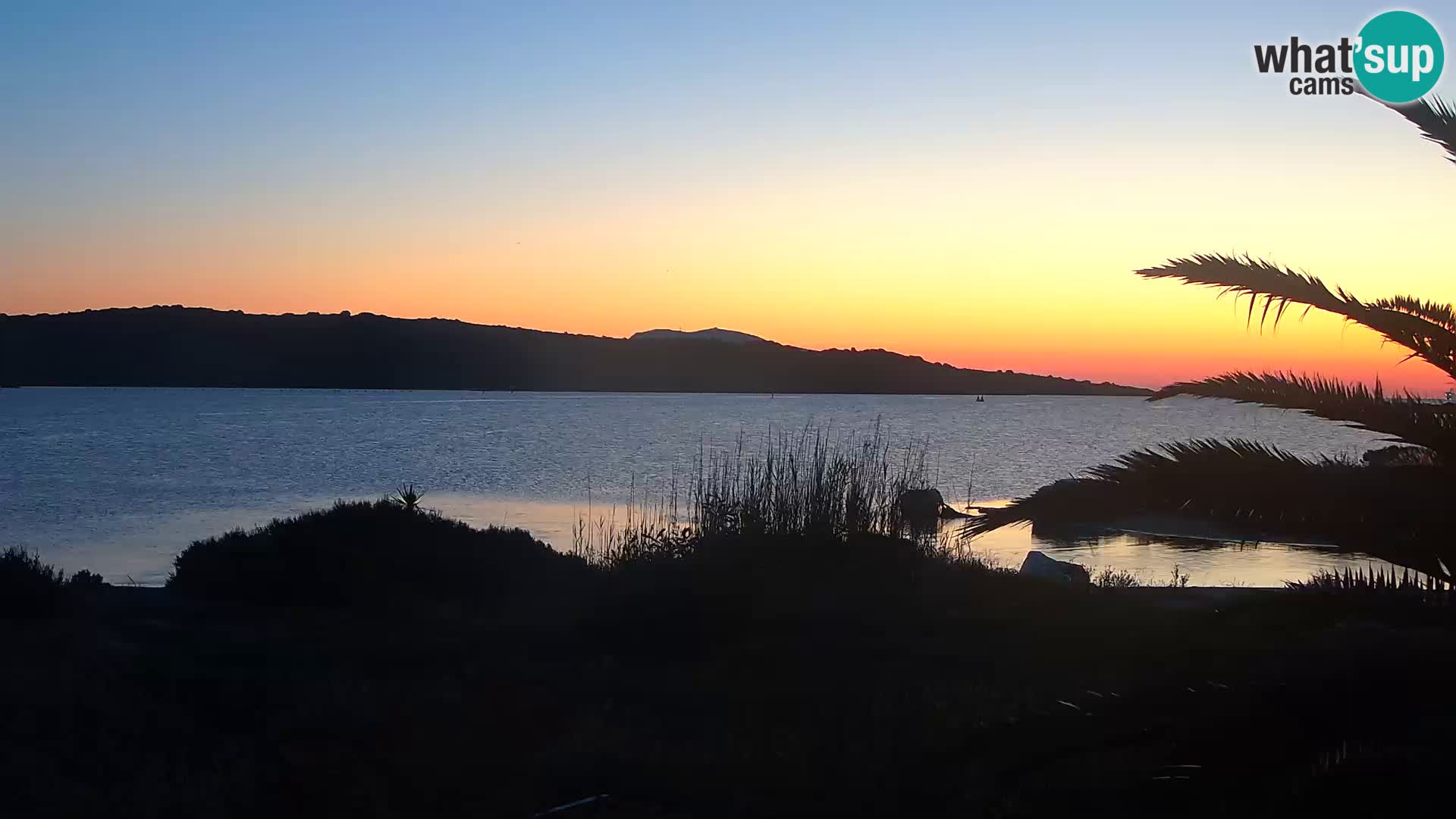 Webcam Olbia port – entrance to the port of Olbia