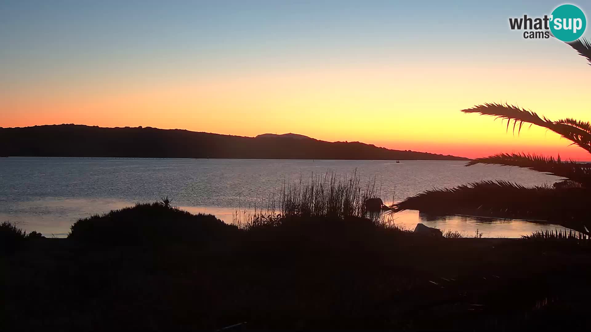 Webcam Hafen Olbia – Eingang zum Hafen von Olbia