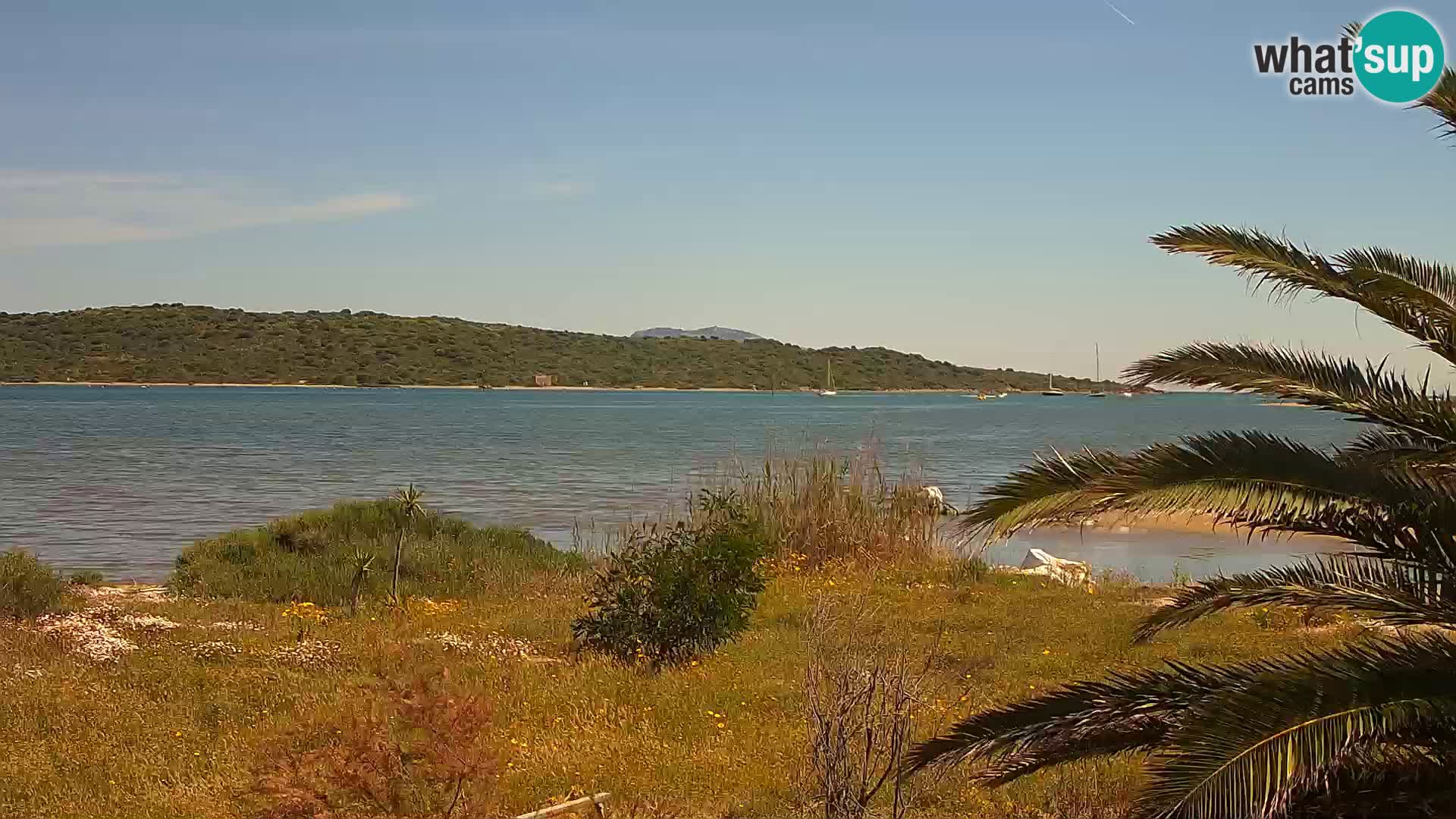 Webcam Hafen Olbia – Eingang zum Hafen von Olbia