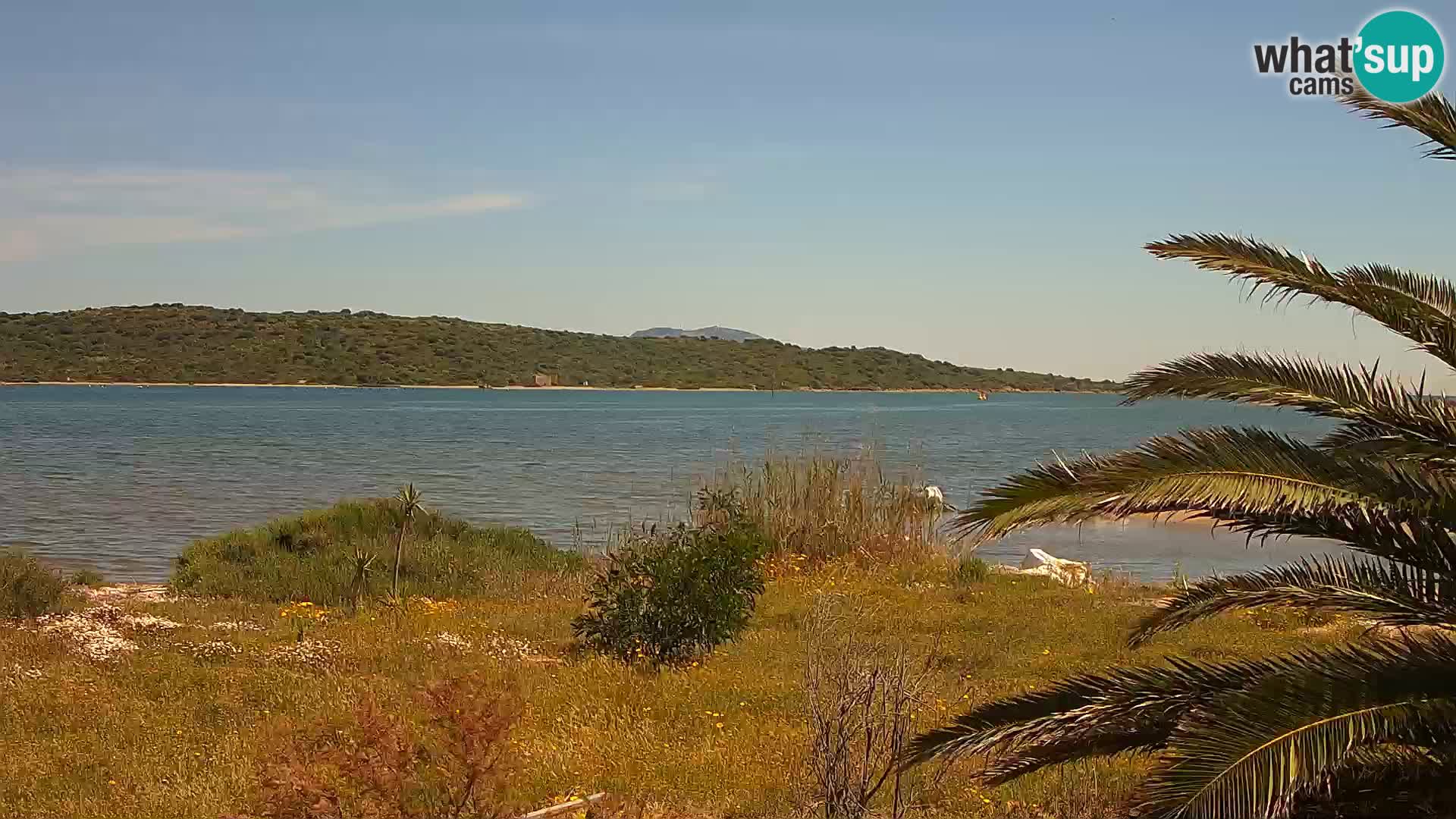 Webcam Hafen Olbia – Eingang zum Hafen von Olbia