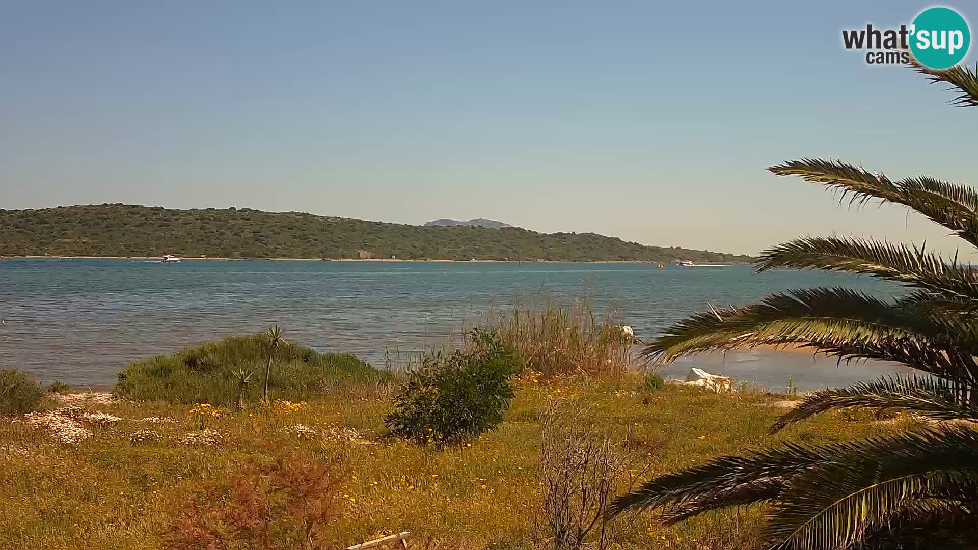 Web kamera Olbia luka – ulaz u luku Olbia