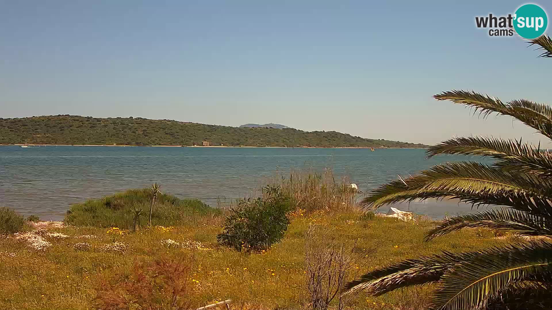 Webcam Hafen Olbia – Eingang zum Hafen von Olbia