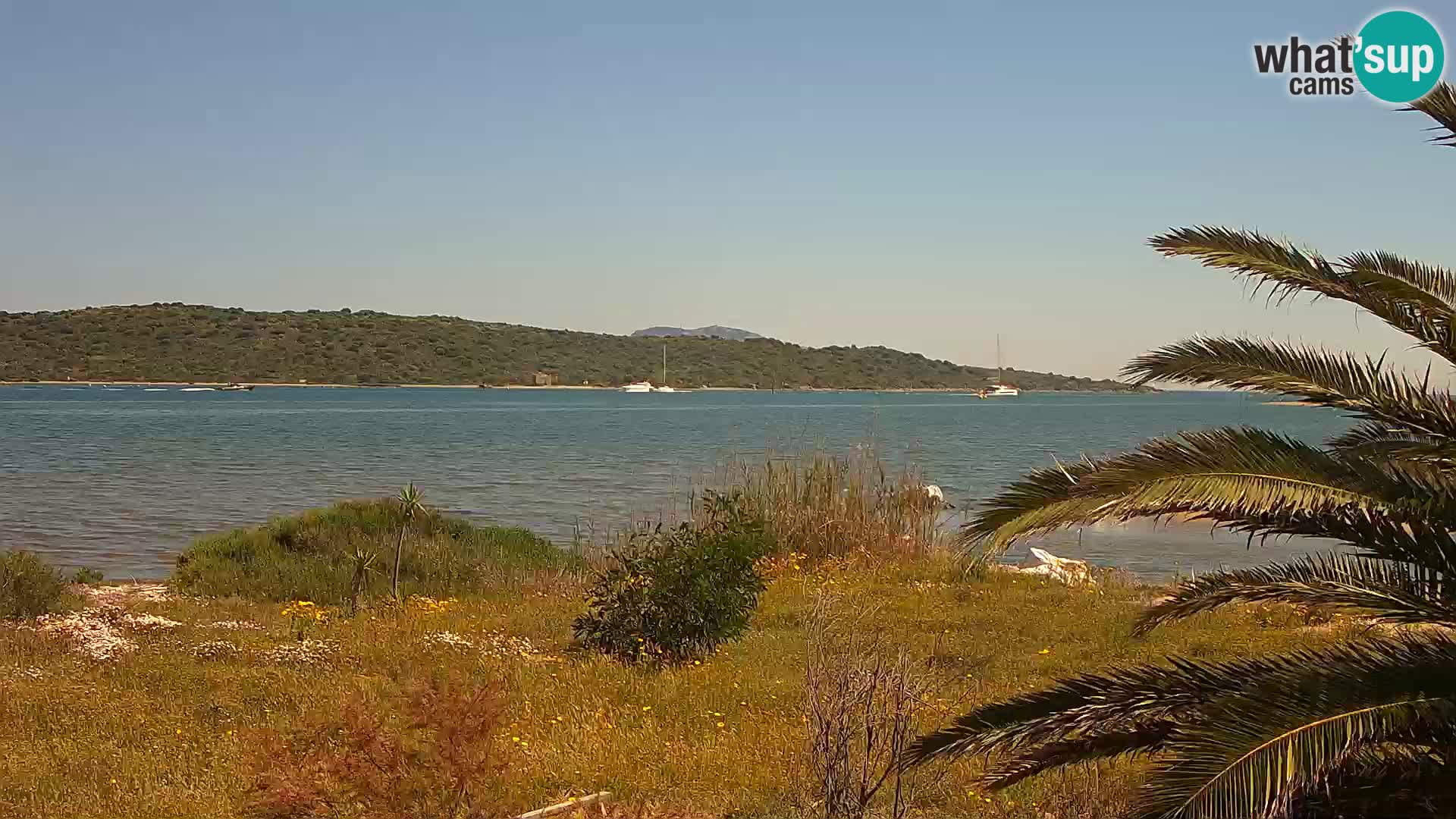 Webcam Hafen Olbia – Eingang zum Hafen von Olbia