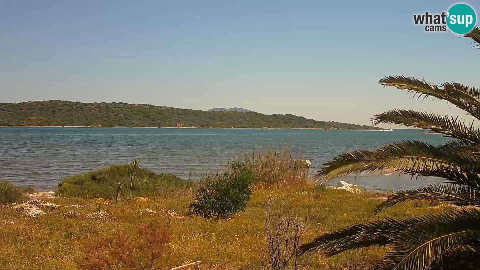 Webcam Hafen Olbia – Eingang zum Hafen von Olbia