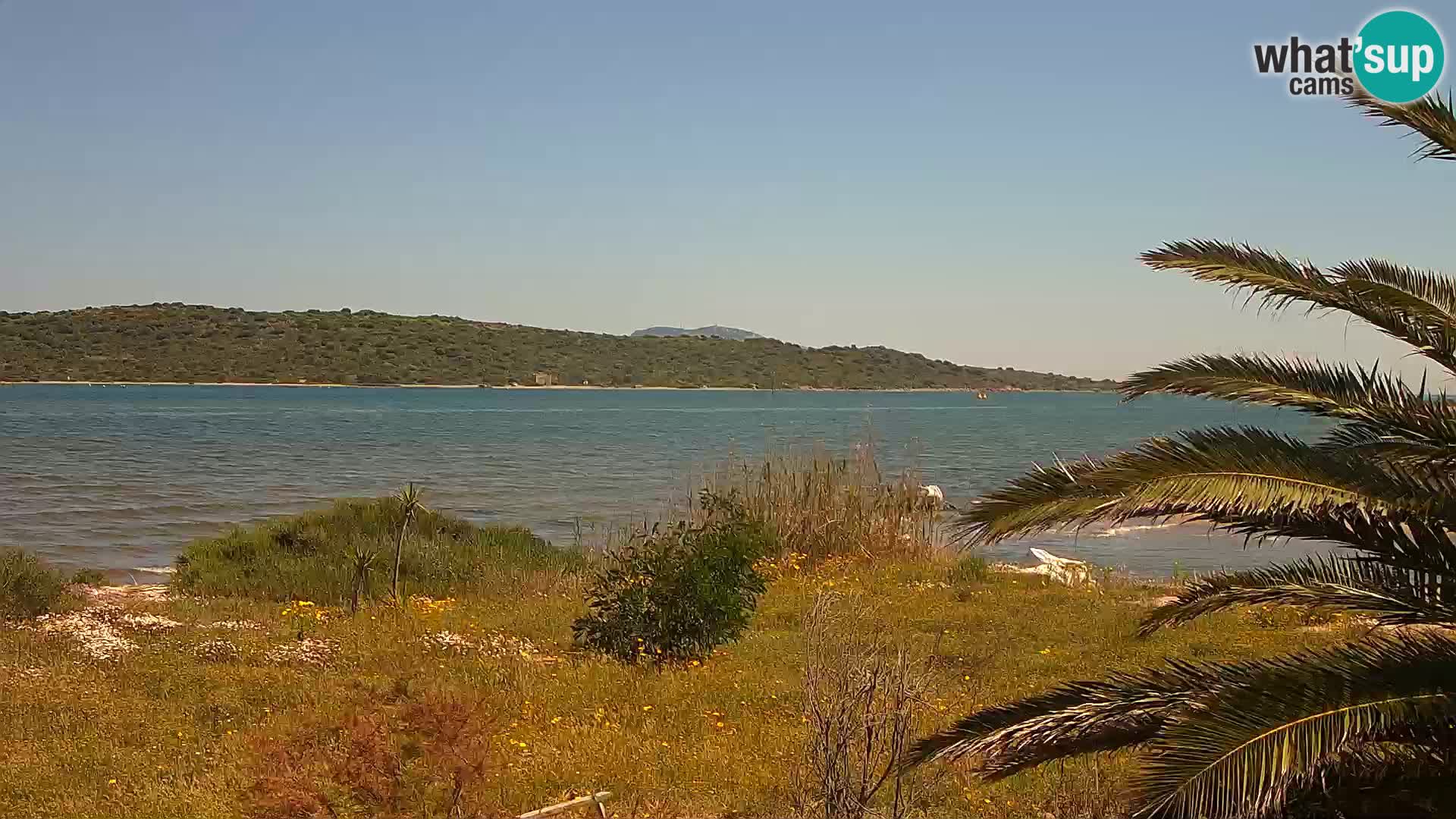 Webcam Hafen Olbia – Eingang zum Hafen von Olbia