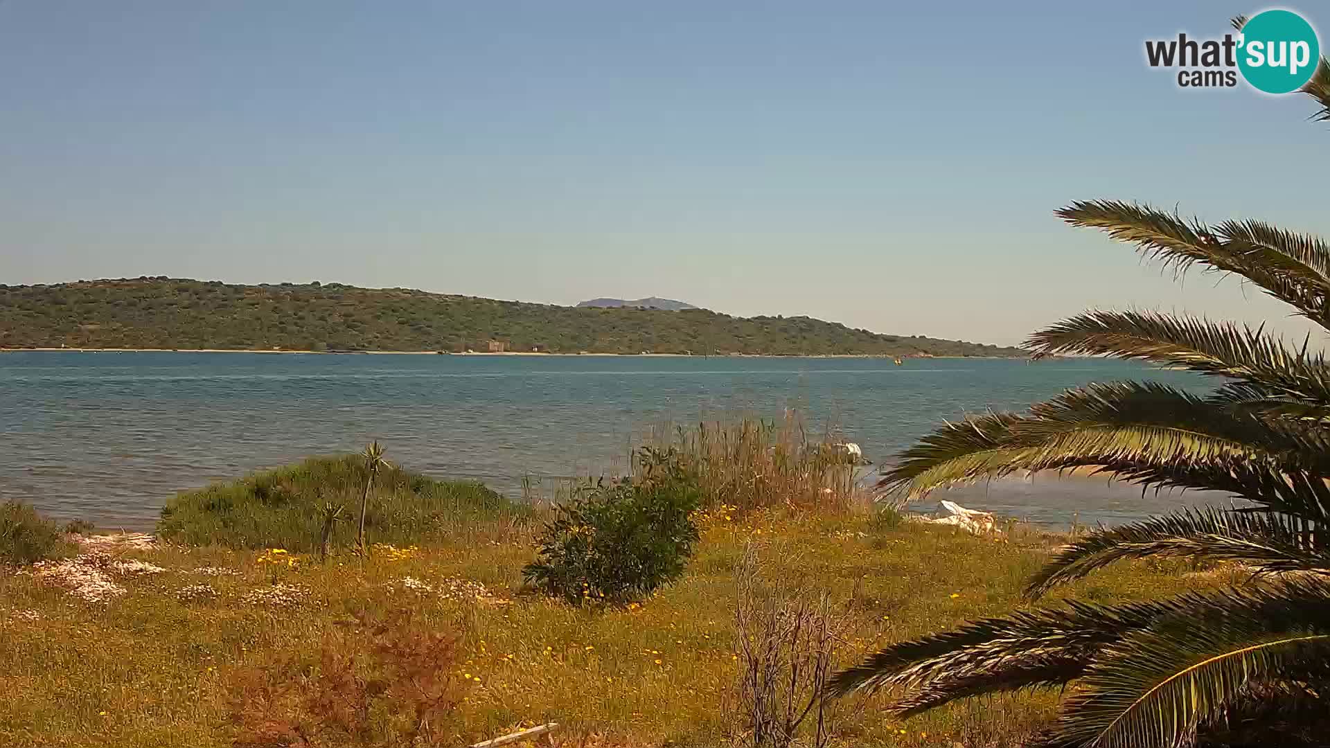 Camera web puerto de Olbia – entrada al puerto de Olbia