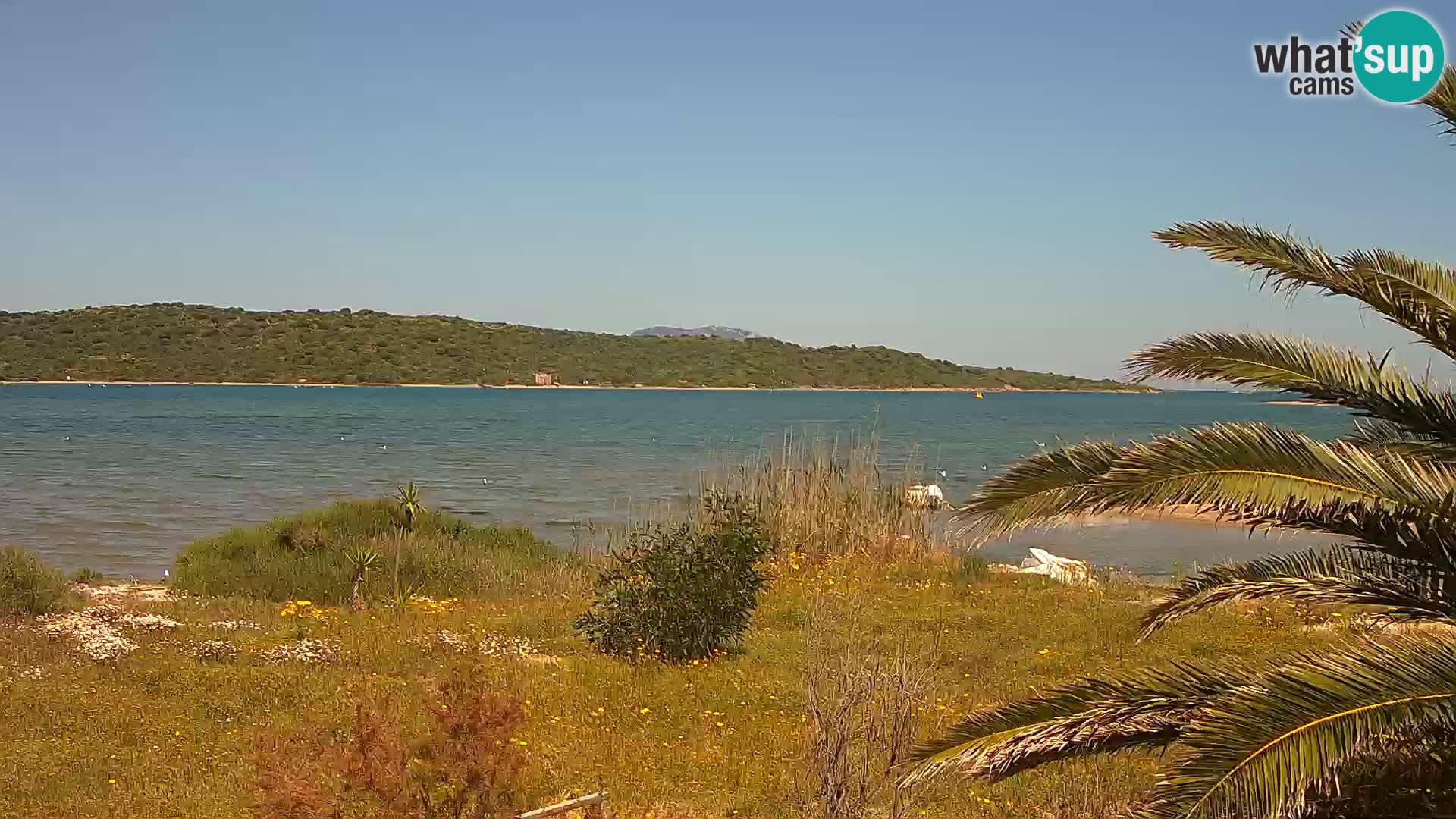 Spletna kamera pristanišče Olbia – vhod v pristanišče Olbia
