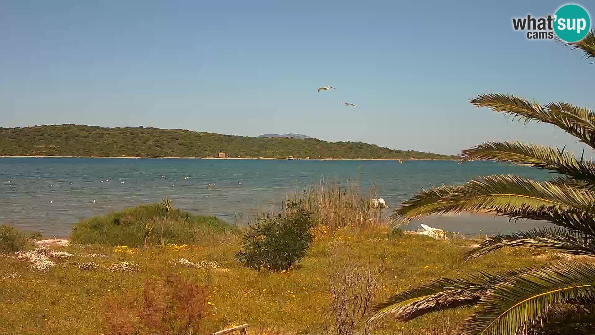 Webcam port d’Olbia – entrée du port d’Olbia