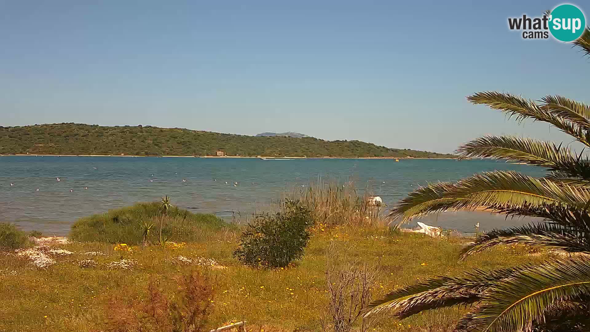 Spletna kamera pristanišče Olbia – vhod v pristanišče Olbia