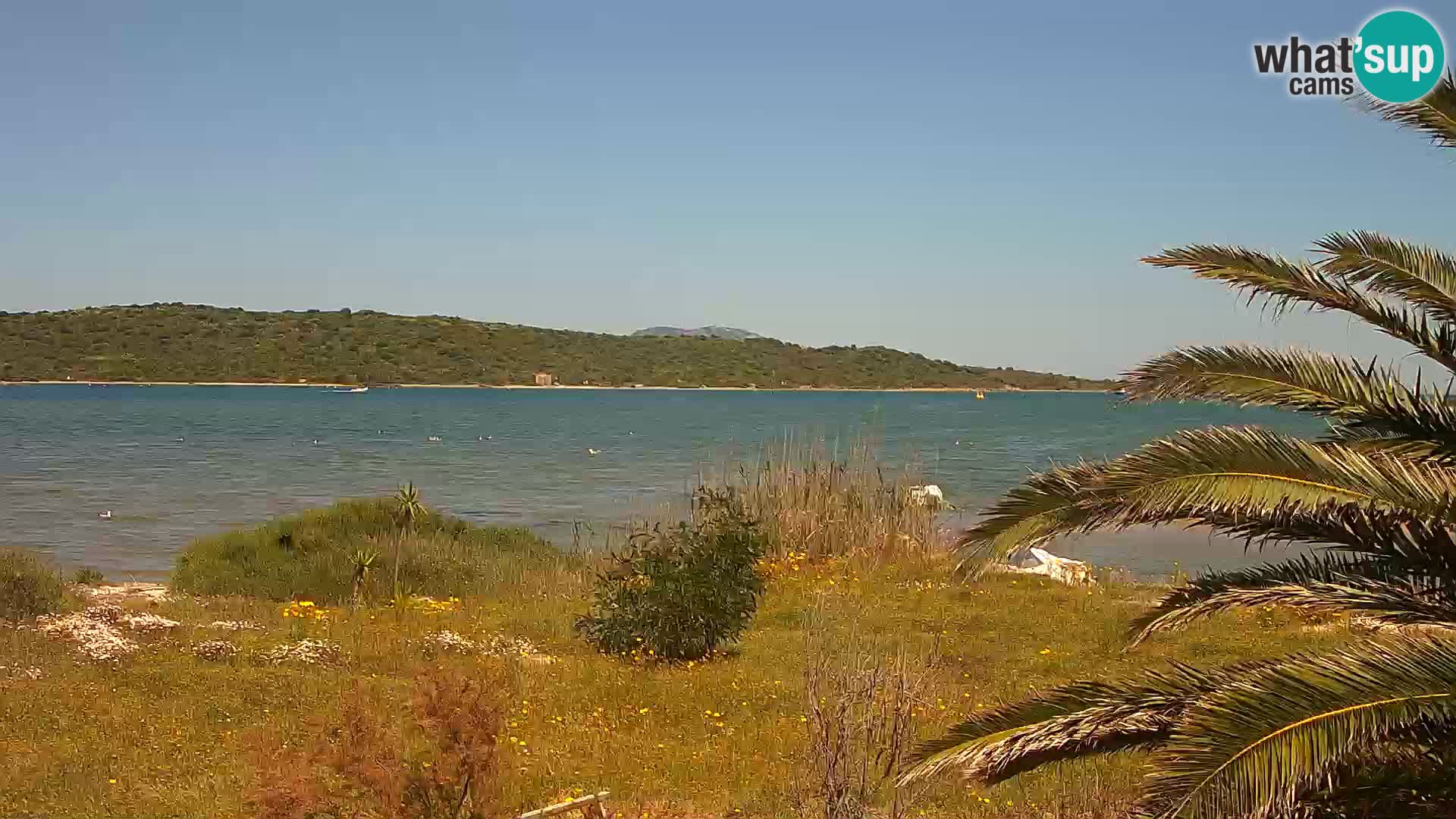 Webcam port d’Olbia – entrée du port d’Olbia