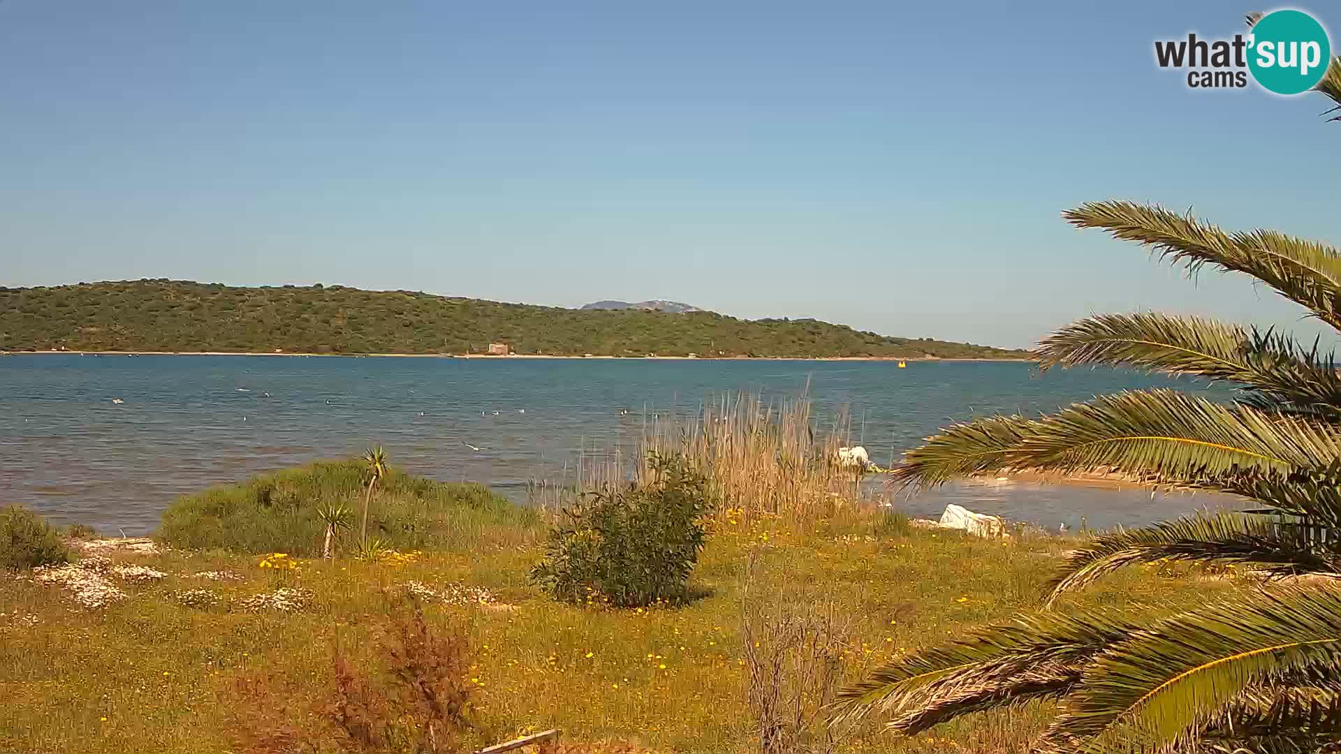 Camera web puerto de Olbia – entrada al puerto de Olbia
