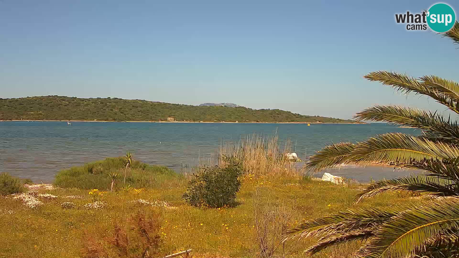 Camera web puerto de Olbia – entrada al puerto de Olbia