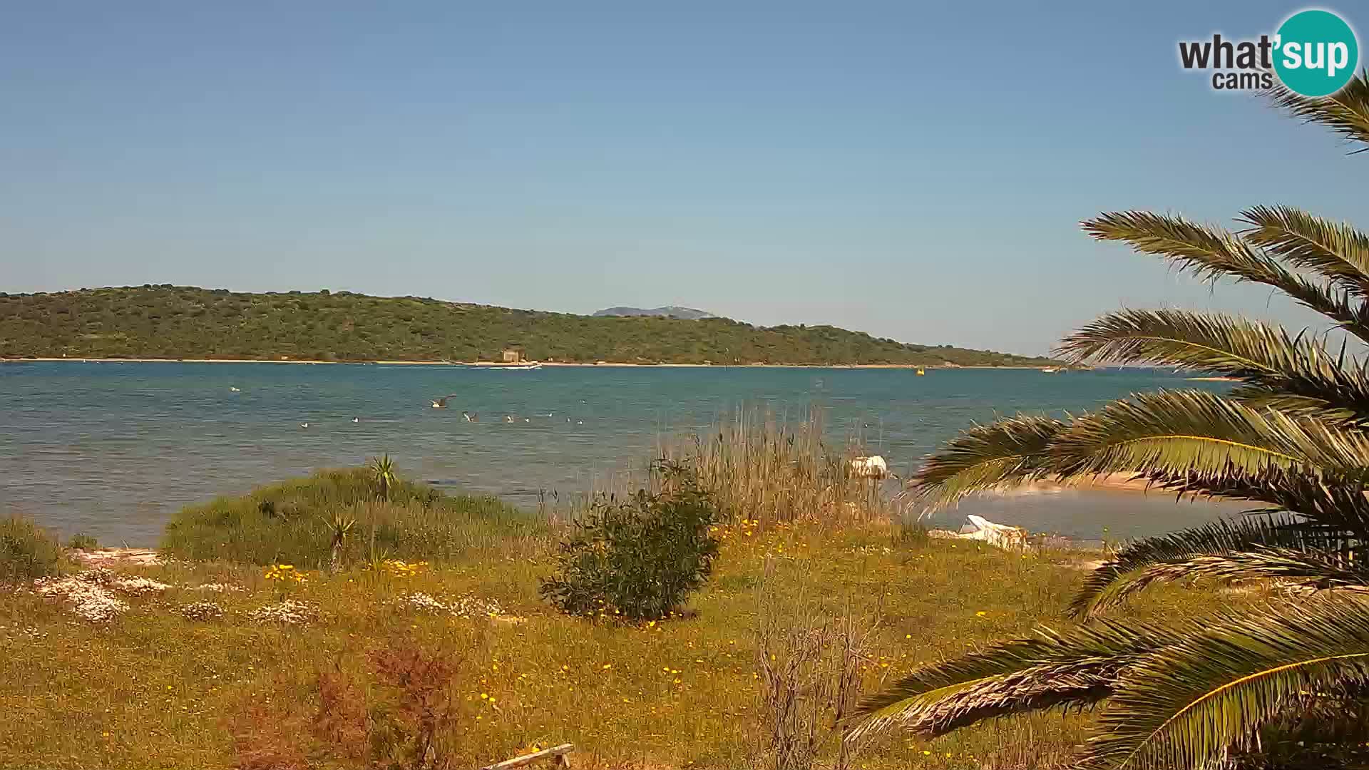Webcam Hafen Olbia – Eingang zum Hafen von Olbia