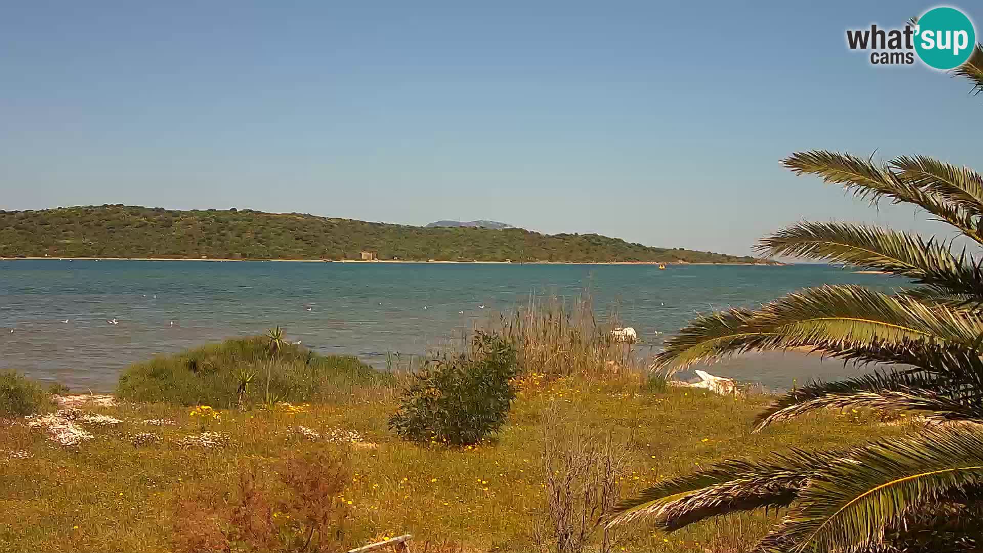 Spletna kamera pristanišče Olbia – vhod v pristanišče Olbia