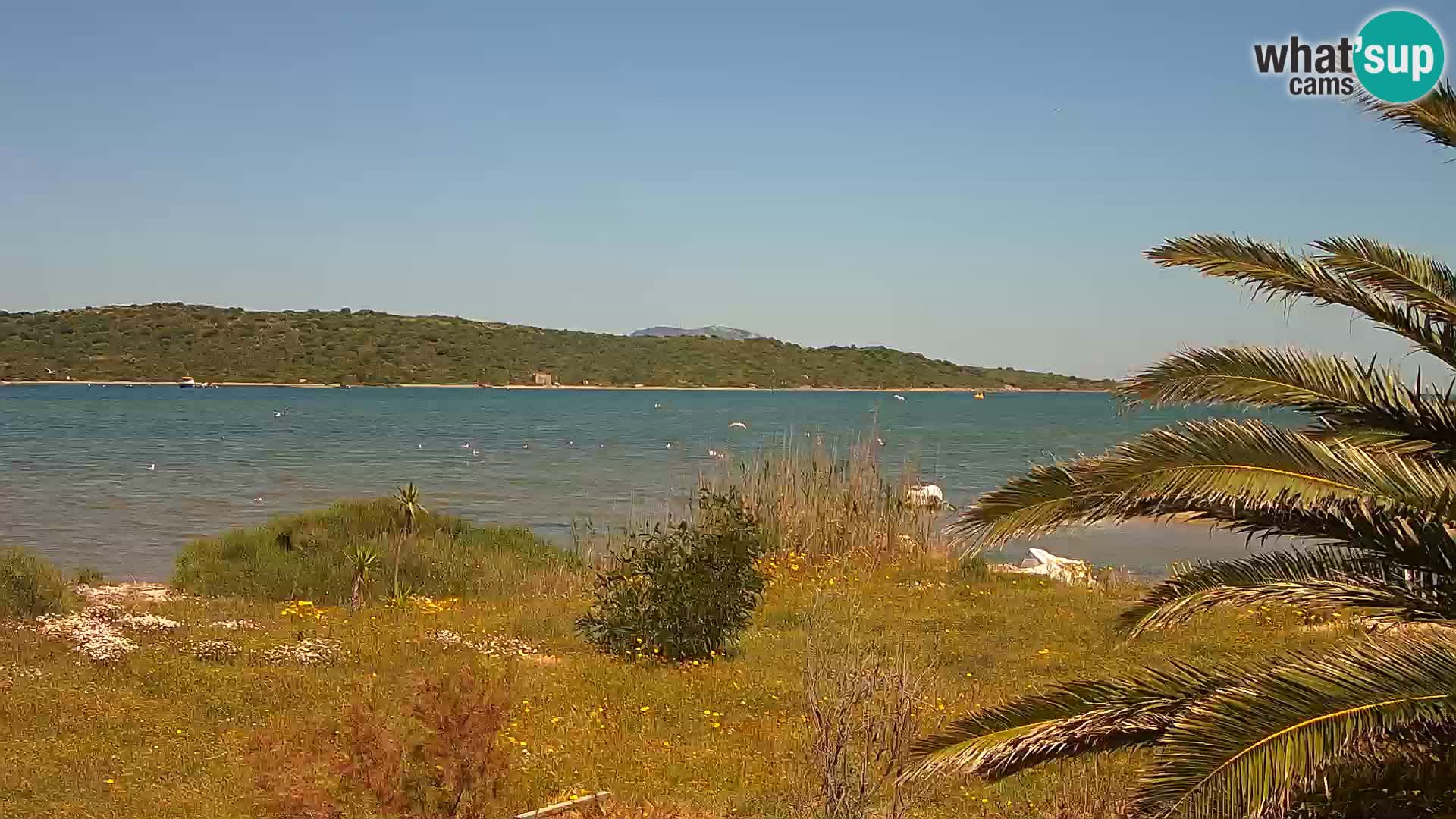 Camera web puerto de Olbia – entrada al puerto de Olbia