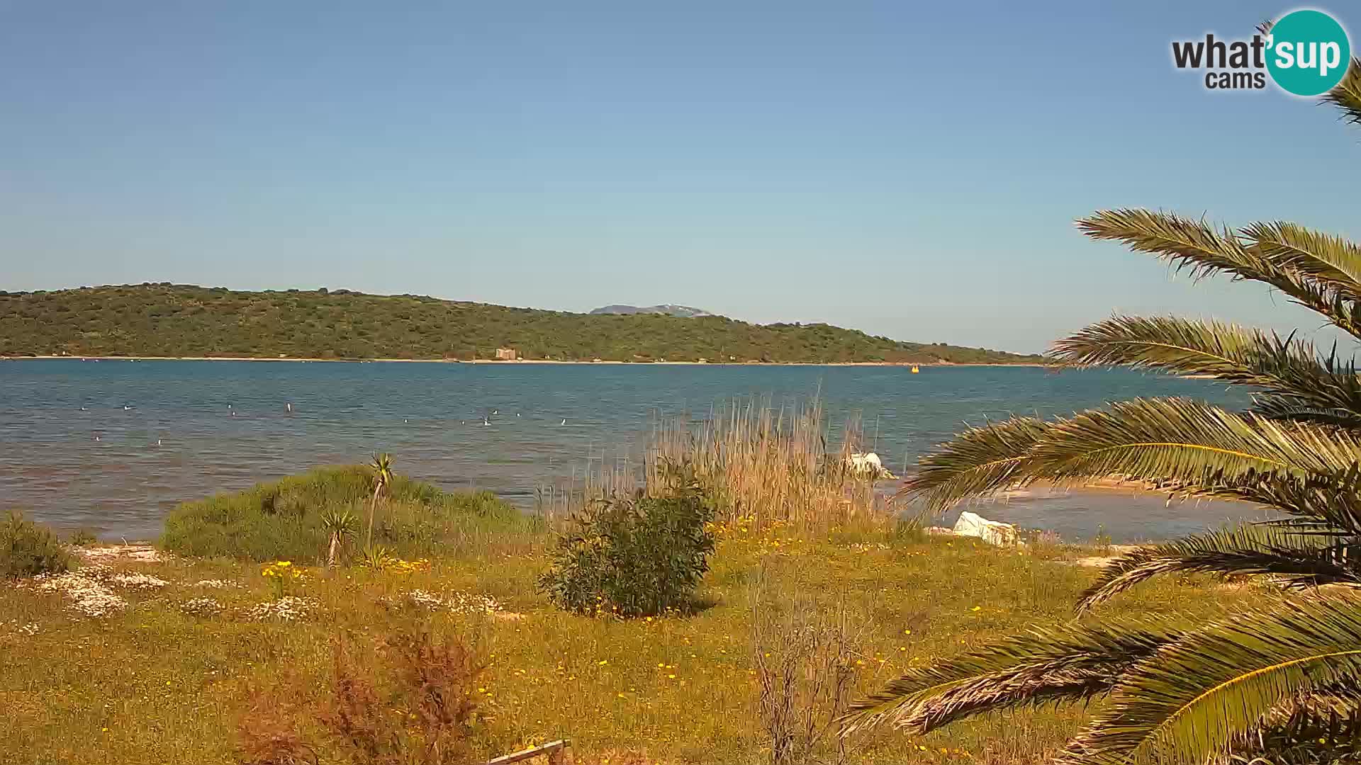 Camera web puerto de Olbia – entrada al puerto de Olbia