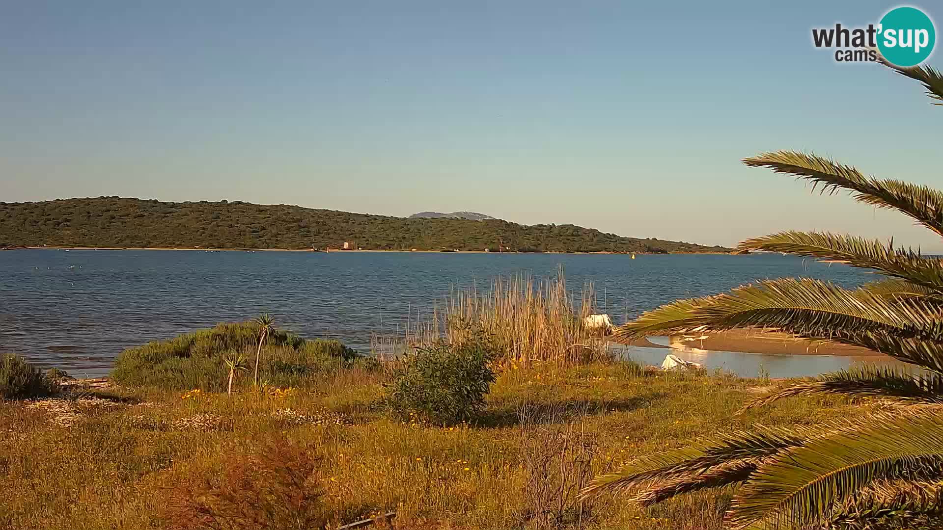 Webcam port d’Olbia – entrée du port d’Olbia