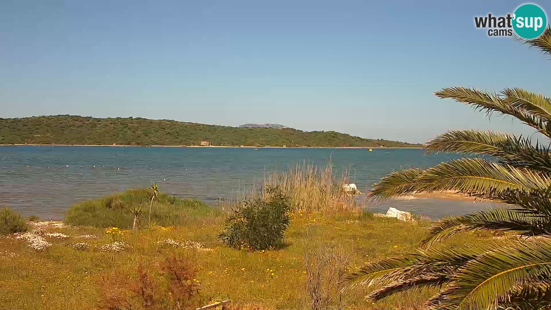 Webcam port d’Olbia – entrée du port d’Olbia