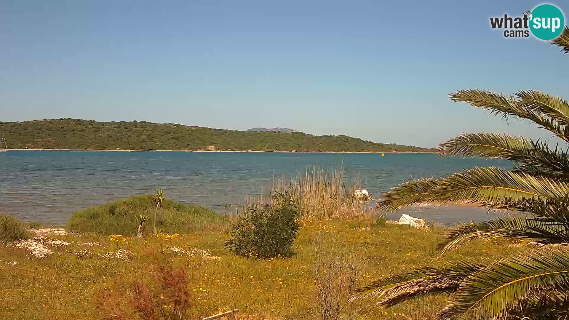 Webcam port d’Olbia – entrée du port d’Olbia