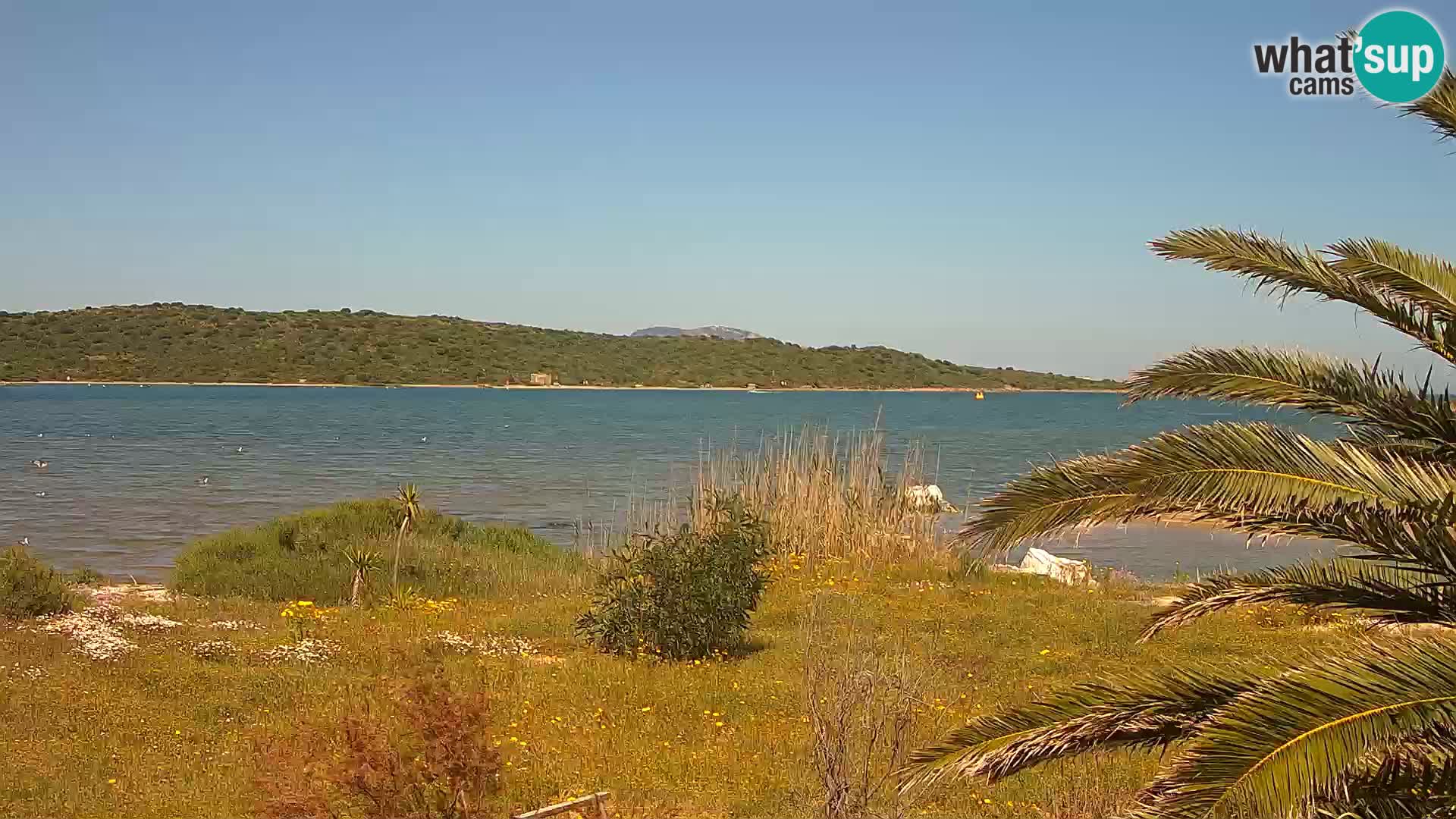 Web kamera Olbia luka – ulaz u luku Olbia