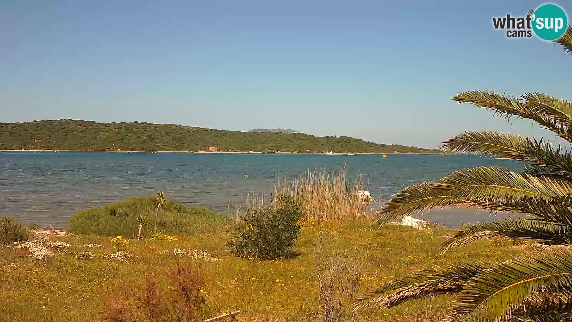 Camera web puerto de Olbia – entrada al puerto de Olbia