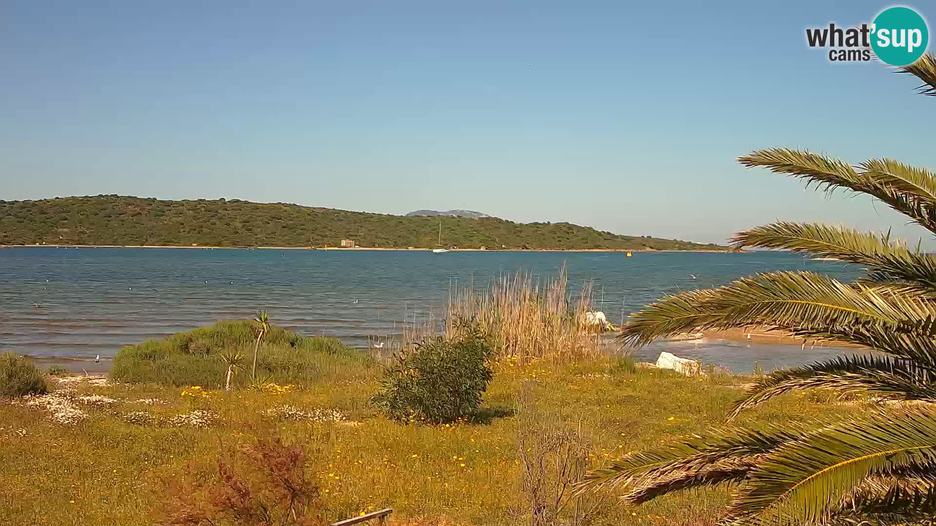 Spletna kamera pristanišče Olbia – vhod v pristanišče Olbia