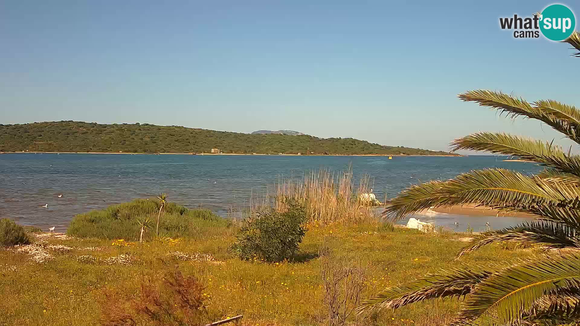 Webcam port d’Olbia – entrée du port d’Olbia