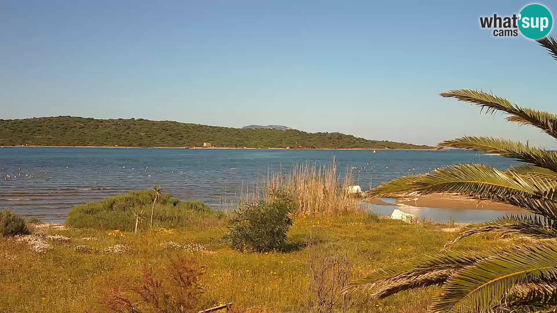 Webcam Hafen Olbia – Eingang zum Hafen von Olbia
