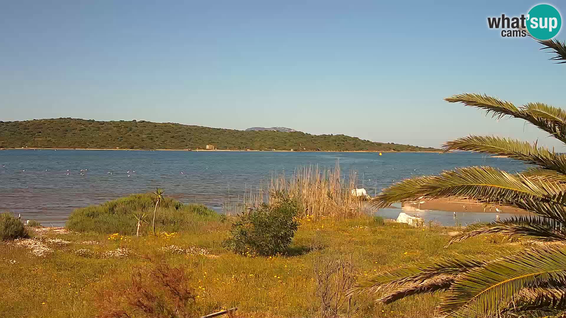 Camera web puerto de Olbia – entrada al puerto de Olbia