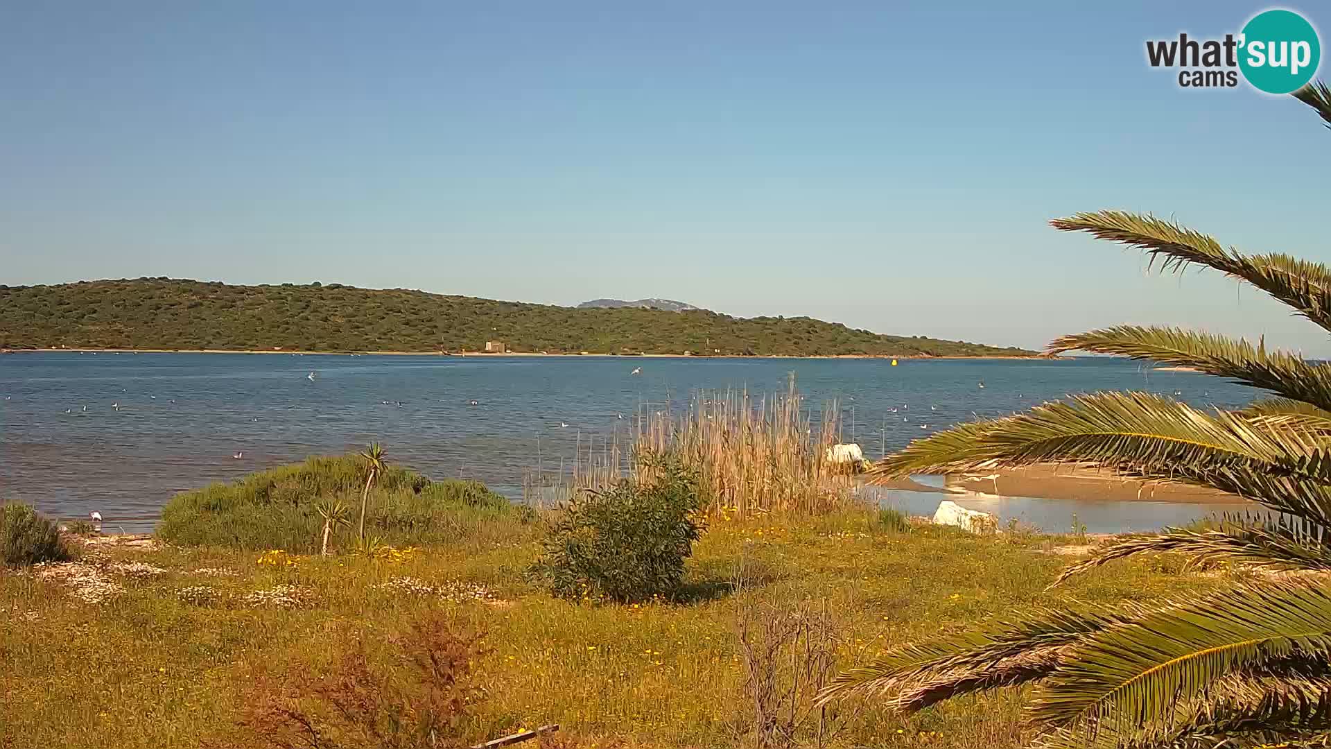 Webcam Olbia port – entrance to the port of Olbia