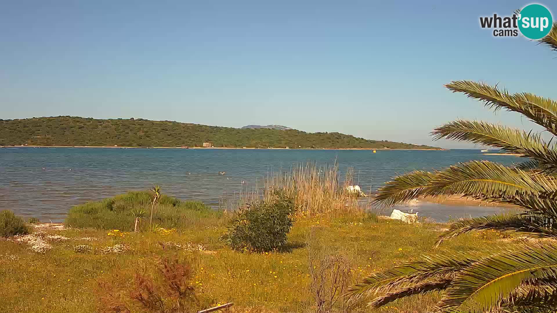 Webcam porto di Olbia – entrata nel porto di Olbia
