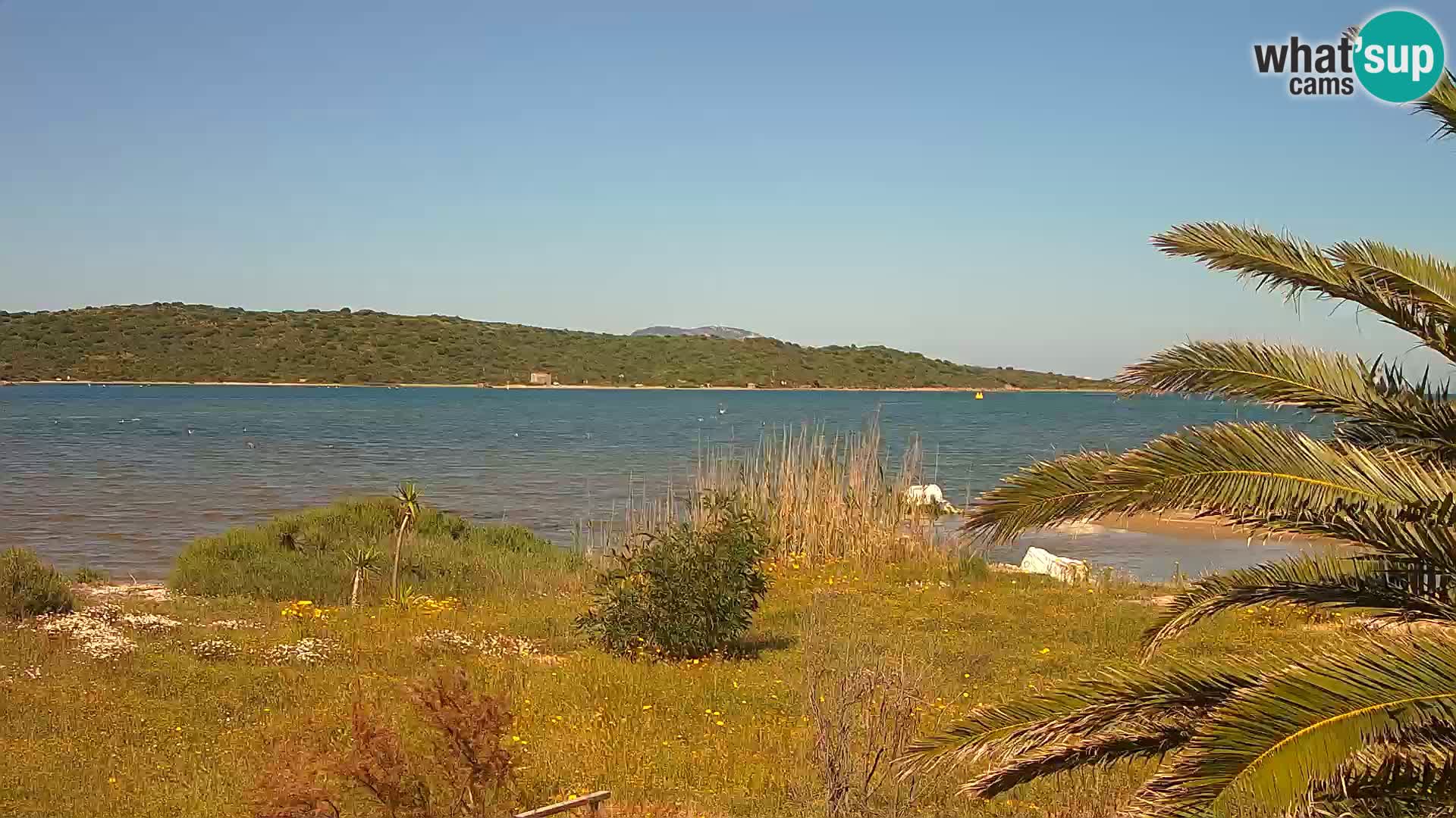 Webcam porto di Olbia – entrata nel porto di Olbia