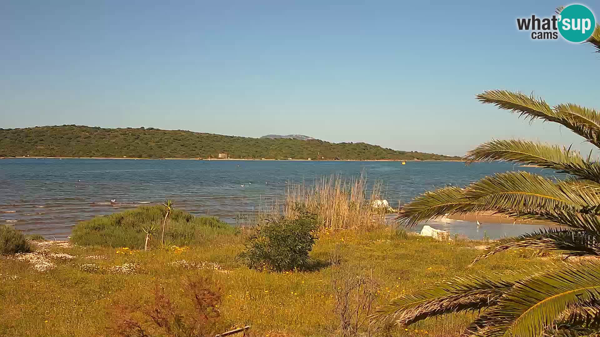 Web kamera Olbia luka – ulaz u luku Olbia