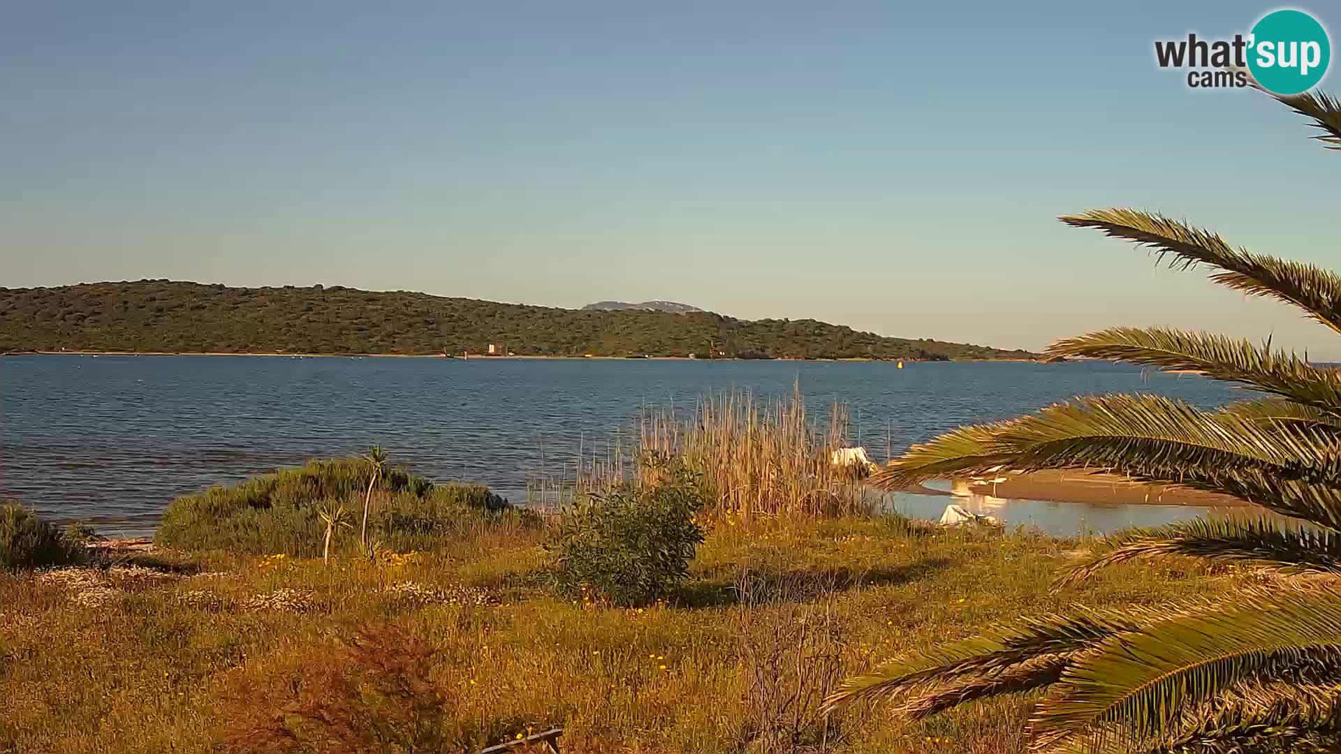 Webcam porto di Olbia – entrata nel porto di Olbia