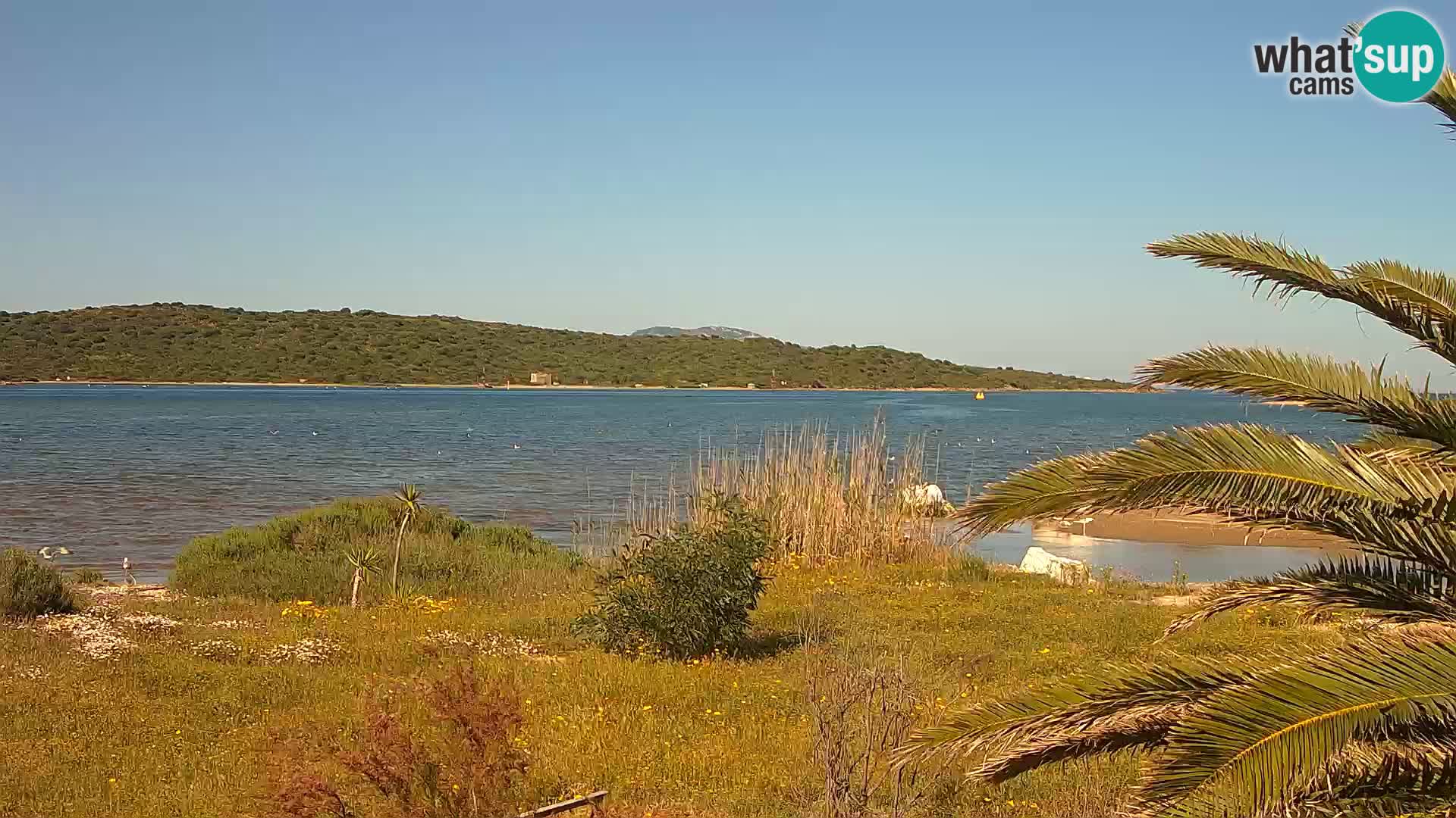 Web kamera Olbia luka – ulaz u luku Olbia