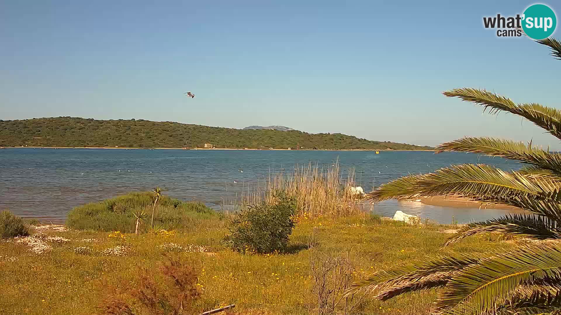 Webcam port d’Olbia – entrée du port d’Olbia