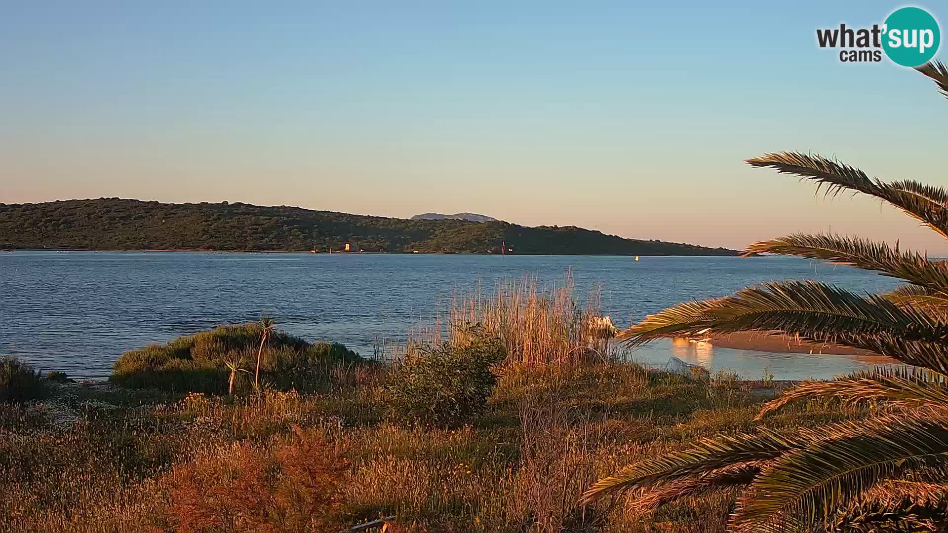 Webcam porto di Olbia – entrata nel porto di Olbia