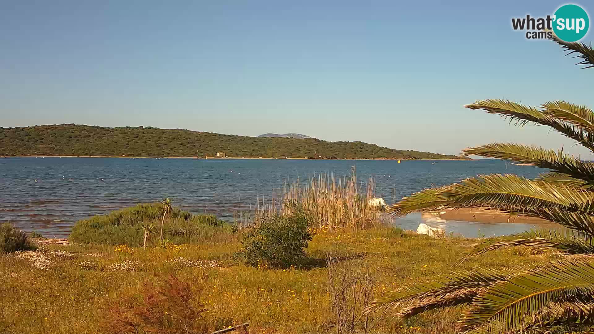 Camera web puerto de Olbia – entrada al puerto de Olbia