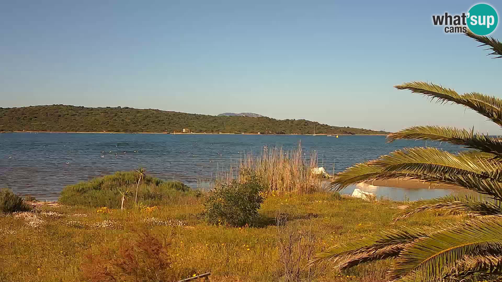 Webcam porto di Olbia – entrata nel porto di Olbia