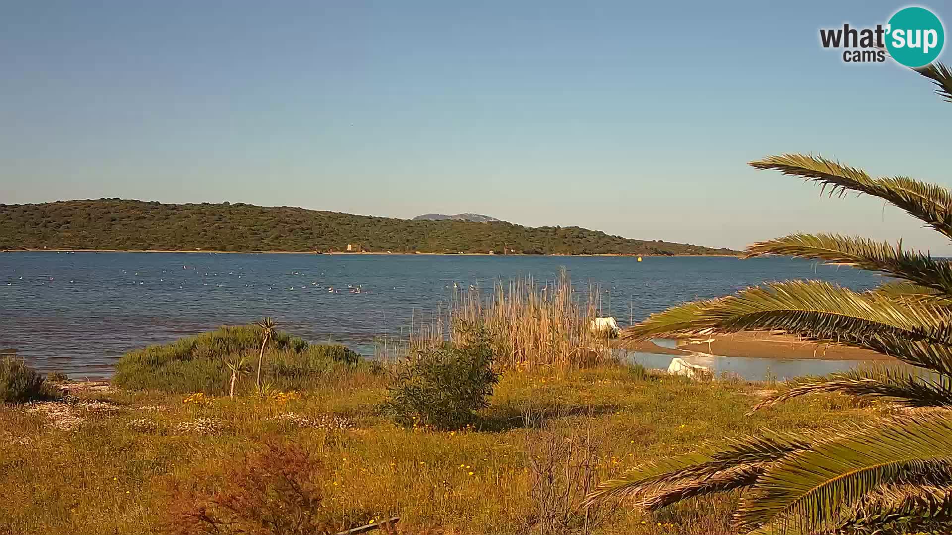 Webcam port d’Olbia – entrée du port d’Olbia