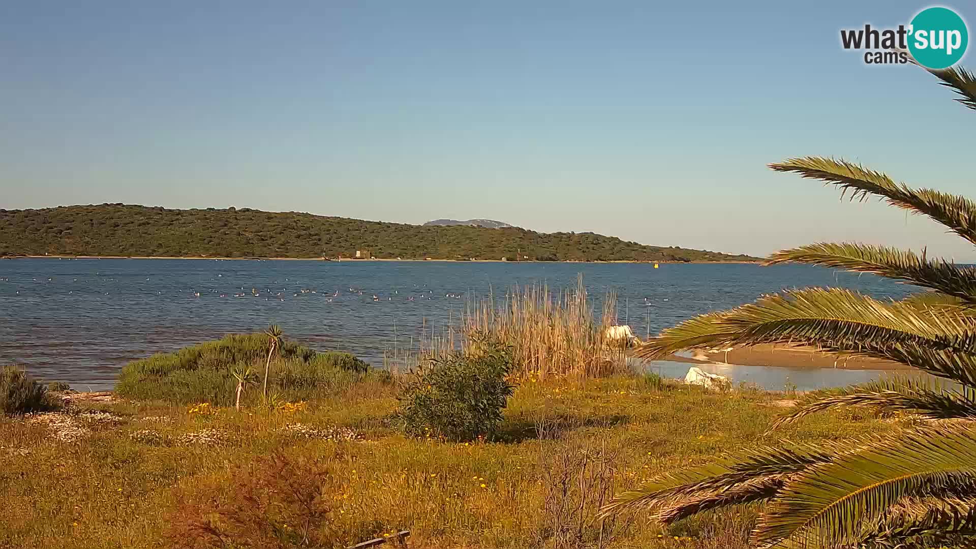 Webcam porto di Olbia – entrata nel porto di Olbia