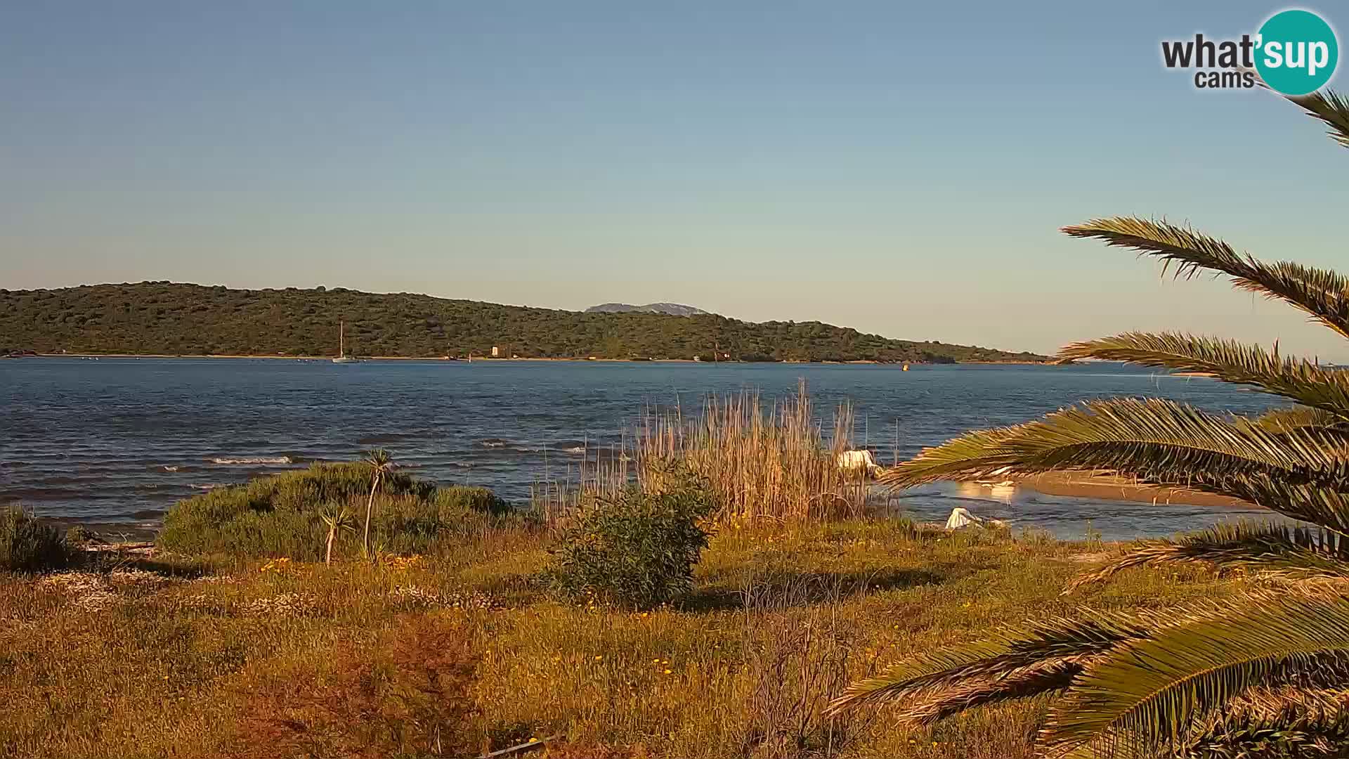 Webcam Olbia port – entrance to the port of Olbia