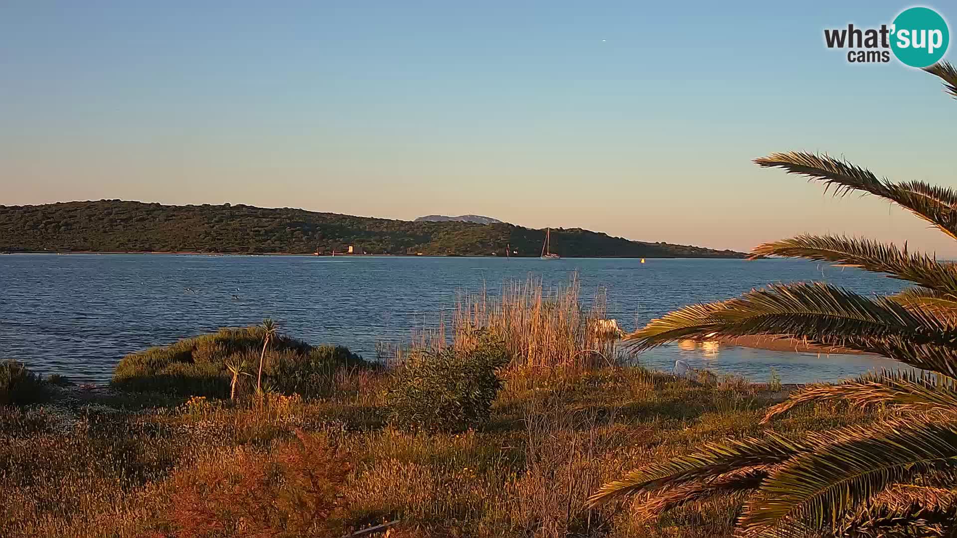 Webcam Olbia port – entrance to the port of Olbia