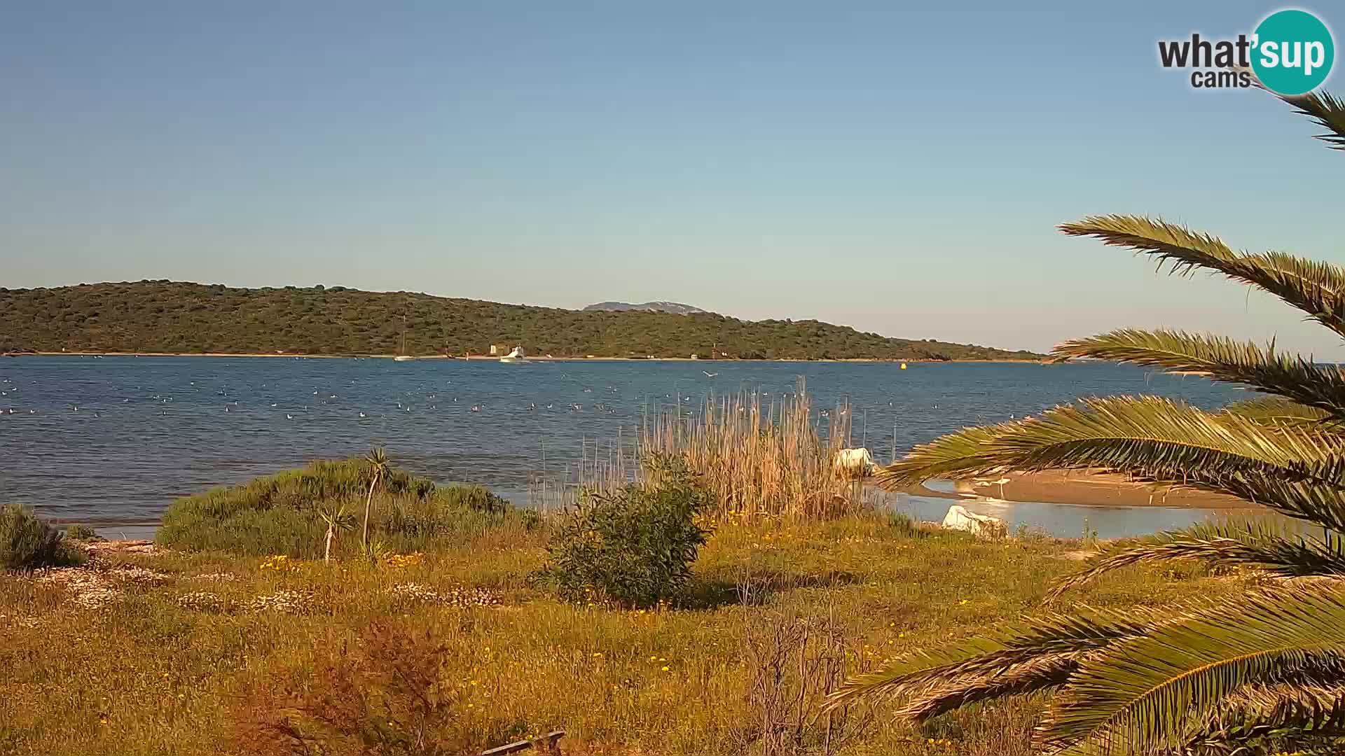 Webcam porto di Olbia – entrata nel porto di Olbia