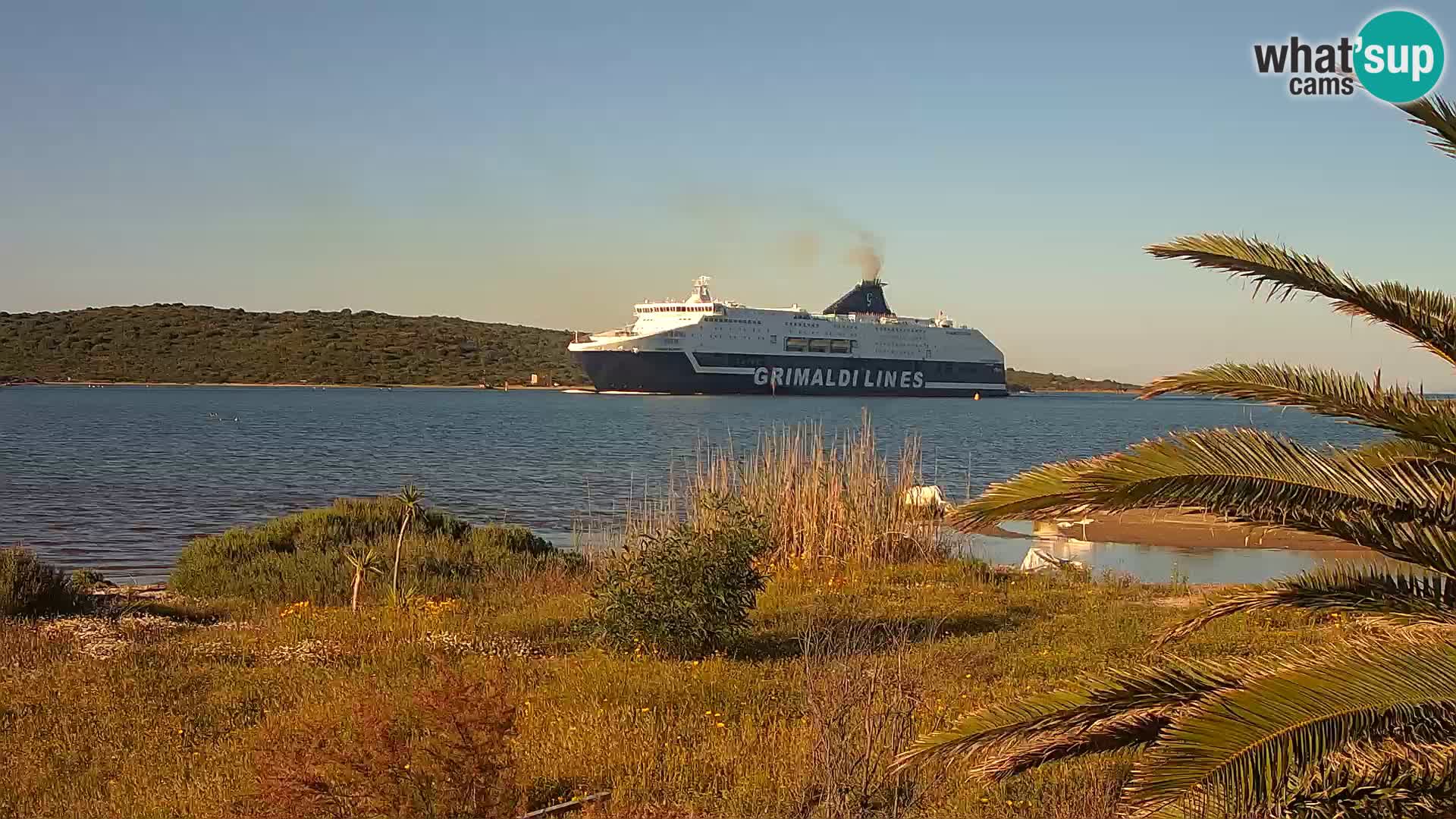 Webcam porto di Olbia – entrata nel porto di Olbia