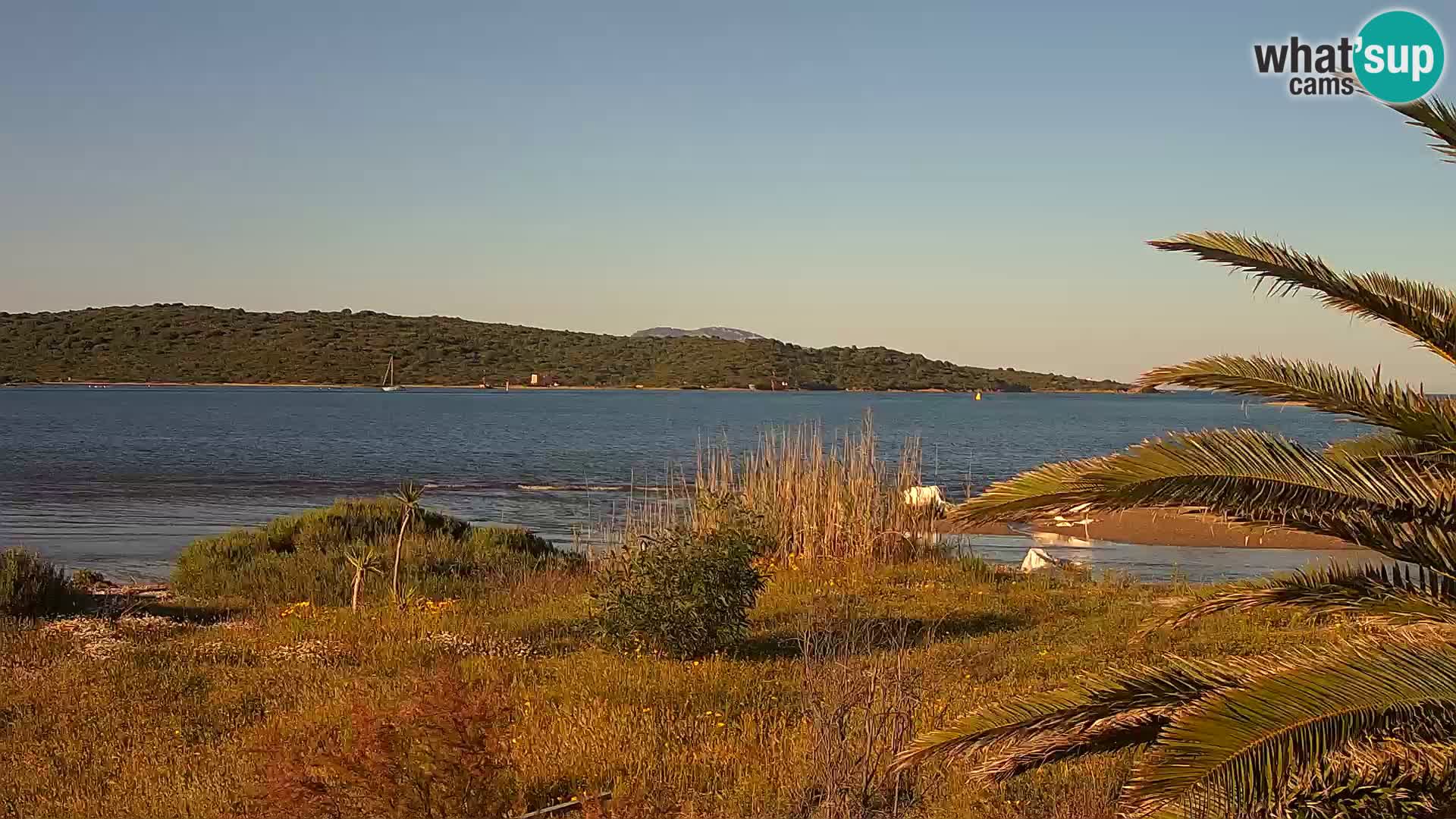 Webcam porto di Olbia – entrata nel porto di Olbia