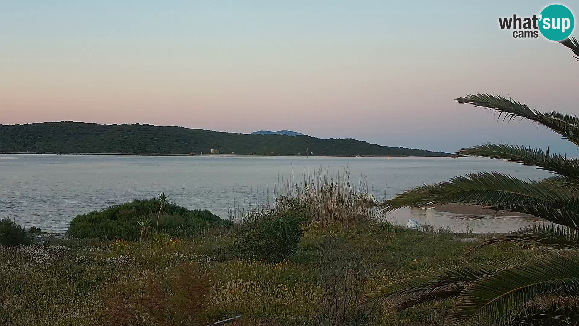 Spletna kamera pristanišče Olbia – vhod v pristanišče Olbia