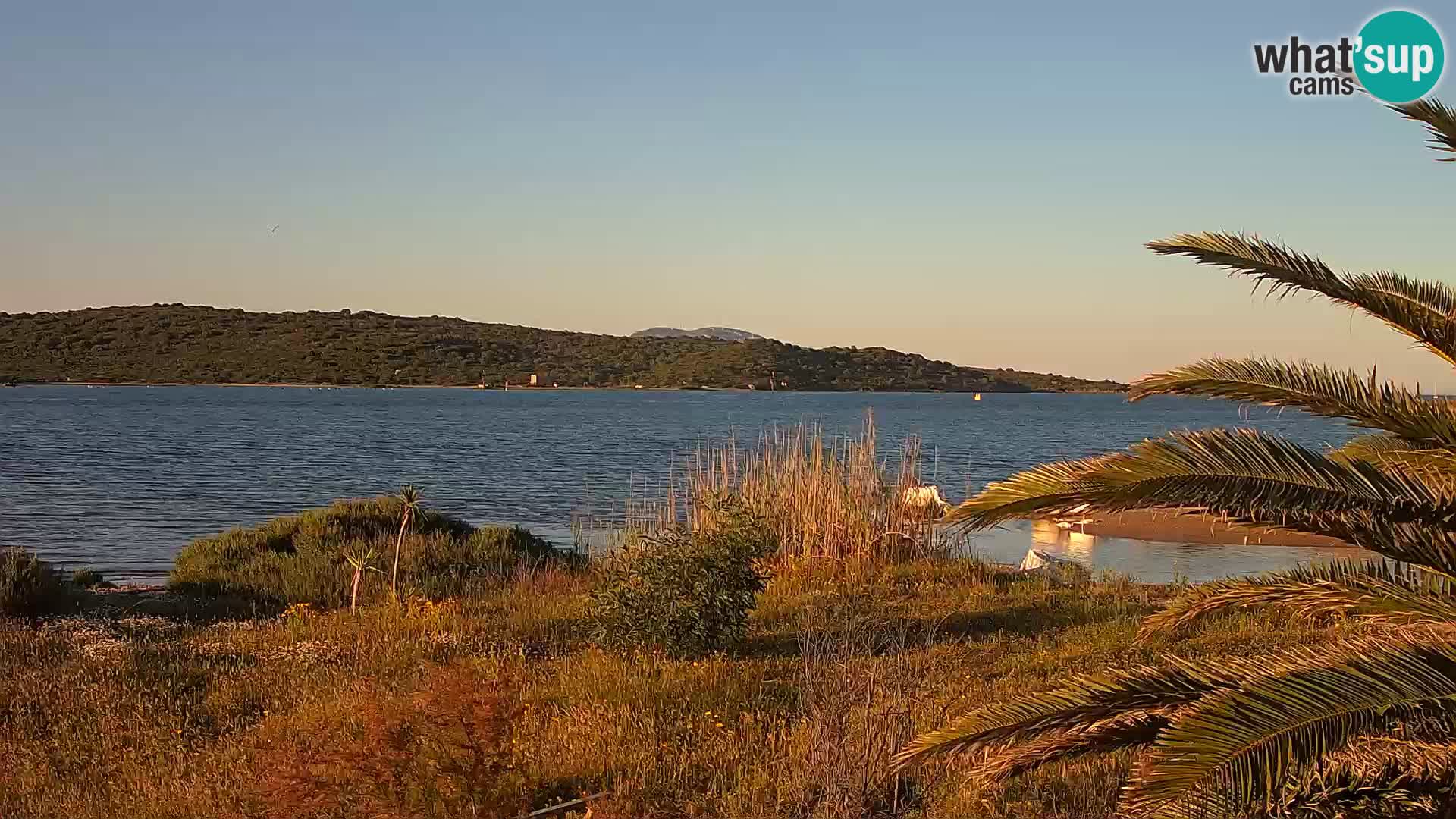 Spletna kamera pristanišče Olbia – vhod v pristanišče Olbia